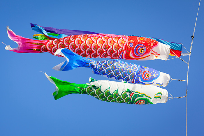 Colourful carp streamers or Koinobori flutter in the wind. The carp shaped wind socks are flown to celebrate Children's Day, a national holiday in Japan.